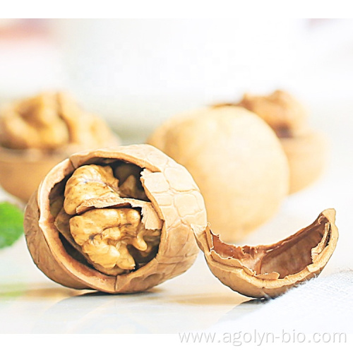 Agolyn walnut brand paper shell walnut